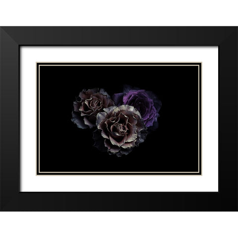 Roses Black Modern Wood Framed Art Print with Double Matting by Julie, Angel