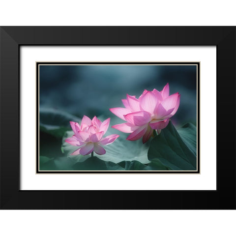 Views Of Different Depths Black Modern Wood Framed Art Print with Double Matting by Suzuki, Takashi