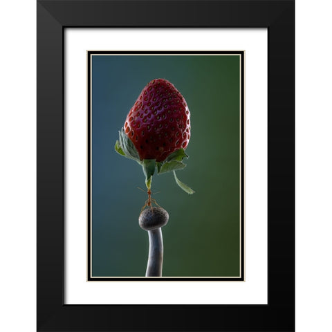 Mighty Ant Lift-Up A Strawberry Black Modern Wood Framed Art Print with Double Matting by Suhardjo, Lisdiyanto