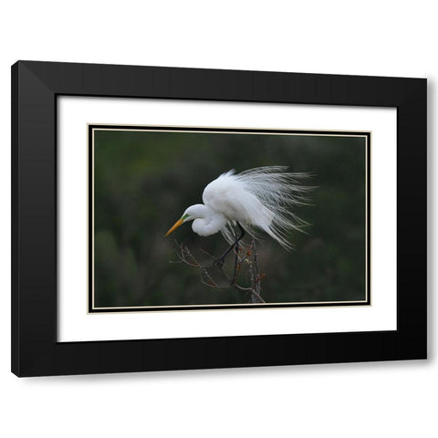 Morning Black Modern Wood Framed Art Print with Double Matting by Wan, Anna