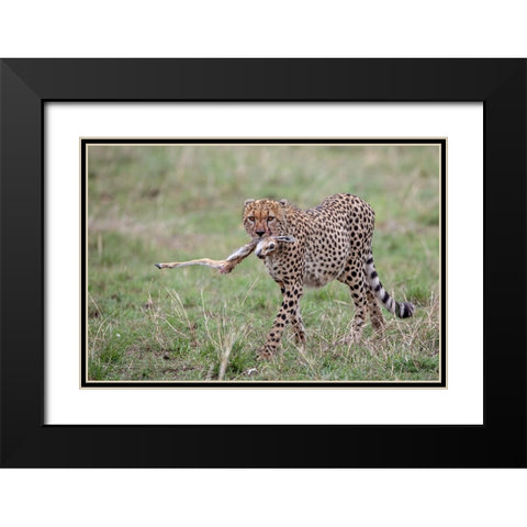 One Leg Black Modern Wood Framed Art Print with Double Matting by Catta, Alessandro