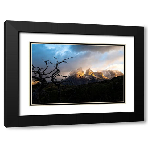Tentacles Black Modern Wood Framed Art Print with Double Matting by Groleau, Michel