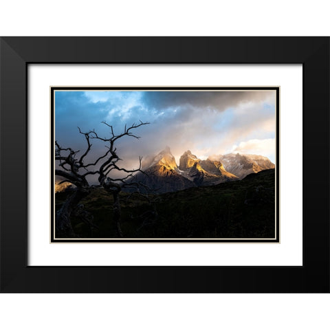 Tentacles Black Modern Wood Framed Art Print with Double Matting by Groleau, Michel