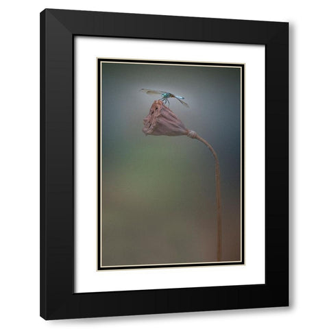 Summer Black Modern Wood Framed Art Print with Double Matting by Lu, Linda