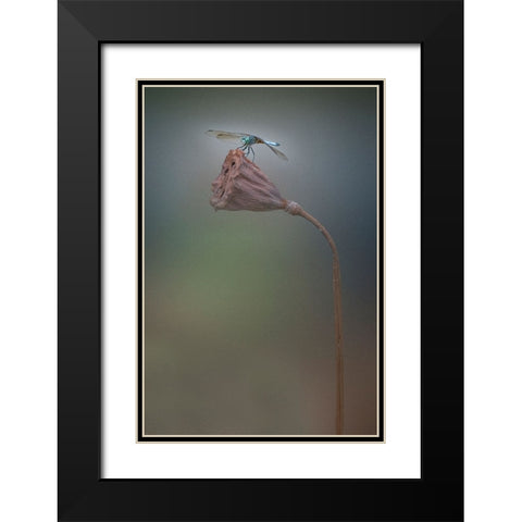 Summer Black Modern Wood Framed Art Print with Double Matting by Lu, Linda