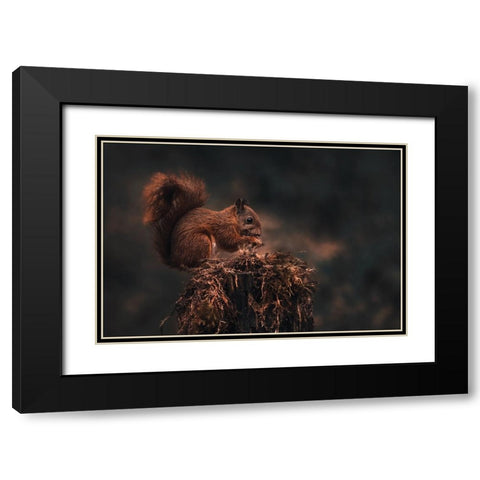 Dark Forest Black Modern Wood Framed Art Print with Double Matting by J Ter, Gert