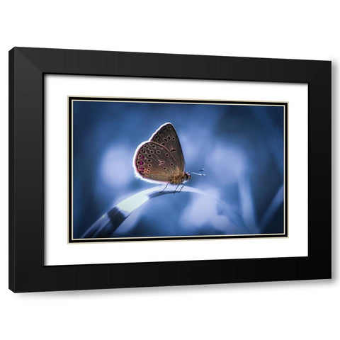 Untitled Black Modern Wood Framed Art Print with Double Matting by Selezenev, Konstantin