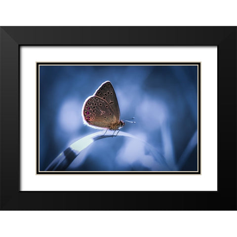 Untitled Black Modern Wood Framed Art Print with Double Matting by Selezenev, Konstantin