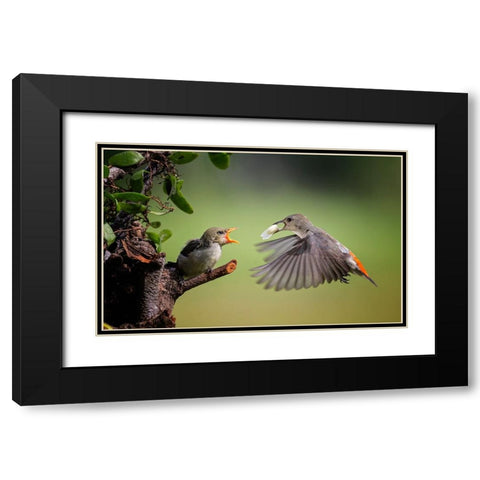 I Am Coming Black Modern Wood Framed Art Print with Double Matting by Muliani Hartojo, Angela