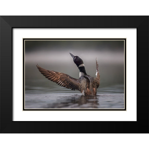 Splash Black Modern Wood Framed Art Print with Double Matting by Dan, Kai