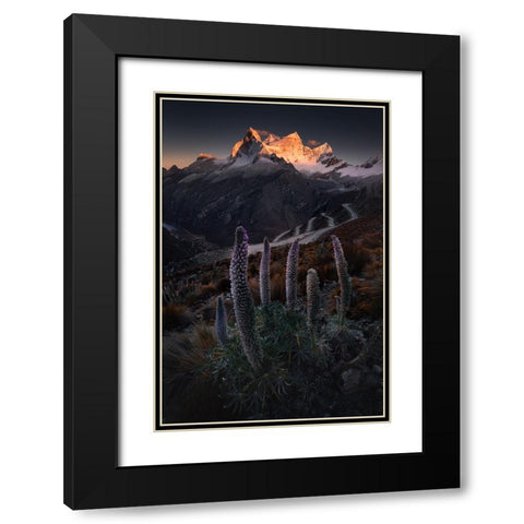 Lupin Towers Black Modern Wood Framed Art Print with Double Matting by Nienartowicz, Karol