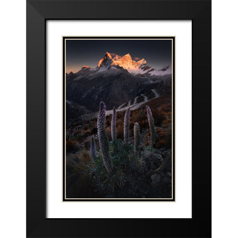 Lupin Towers Black Modern Wood Framed Art Print with Double Matting by Nienartowicz, Karol