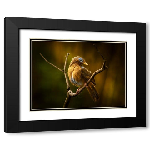 Beautiful Costume Black Modern Wood Framed Art Print with Double Matting by Hirai, Takiko