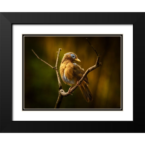 Beautiful Costume Black Modern Wood Framed Art Print with Double Matting by Hirai, Takiko