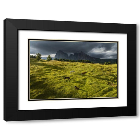 Horses in the Dolomites Black Modern Wood Framed Art Print with Double Matting by Krivec, Ales