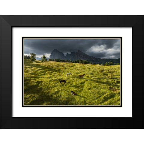 Horses in the Dolomites Black Modern Wood Framed Art Print with Double Matting by Krivec, Ales