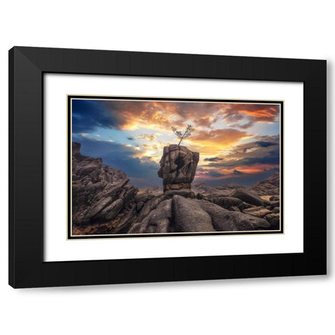 Pine Tree On The Rock Black Modern Wood Framed Art Print with Double Matting by Seo, Tiger