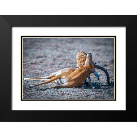 Hunt Black Modern Wood Framed Art Print with Double Matting by Tianhuayu