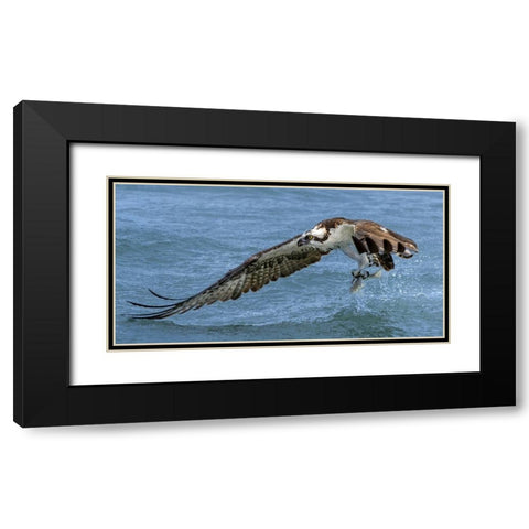 Splash Black Modern Wood Framed Art Print with Double Matting by Fan, John