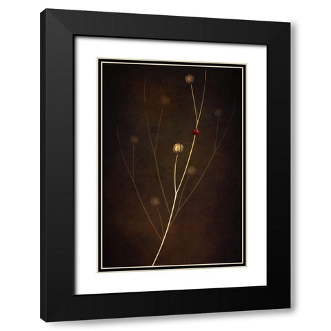 Summer Black Modern Wood Framed Art Print with Double Matting by Kiral, Cicek