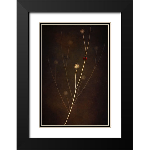 Summer Black Modern Wood Framed Art Print with Double Matting by Kiral, Cicek