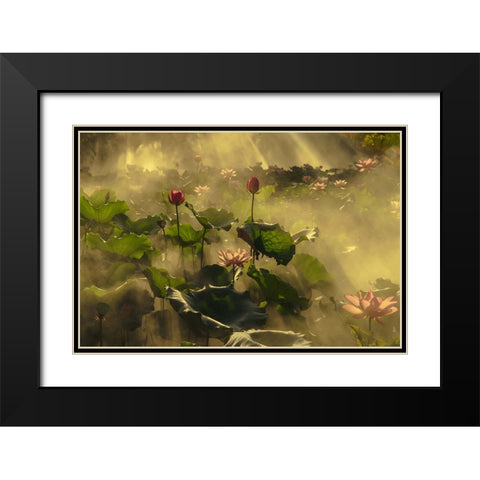 Summer lotus Black Modern Wood Framed Art Print with Double Matting by Shi, Mei