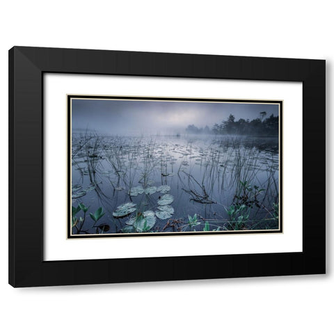 Dawn Light Black Modern Wood Framed Art Print with Double Matting by Pettersson, Benny