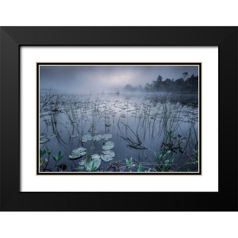 Dawn Light Black Modern Wood Framed Art Print with Double Matting by Pettersson, Benny
