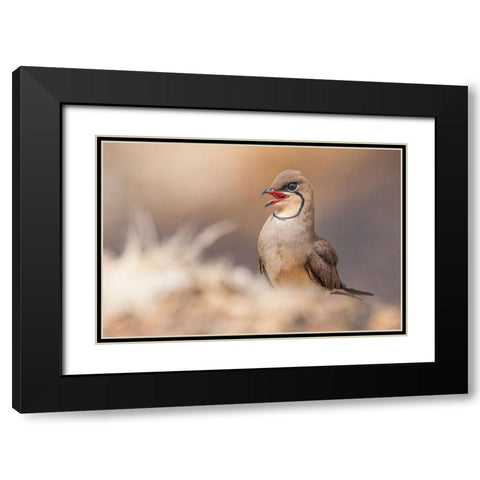 Red Lips.! Black Modern Wood Framed Art Print with Double Matting by Elkahlawi, Ahmed