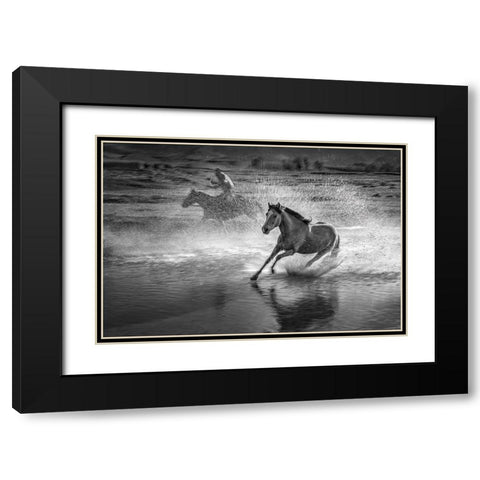 Running Horses Black Modern Wood Framed Art Print with Double Matting by Zhang, Anna
