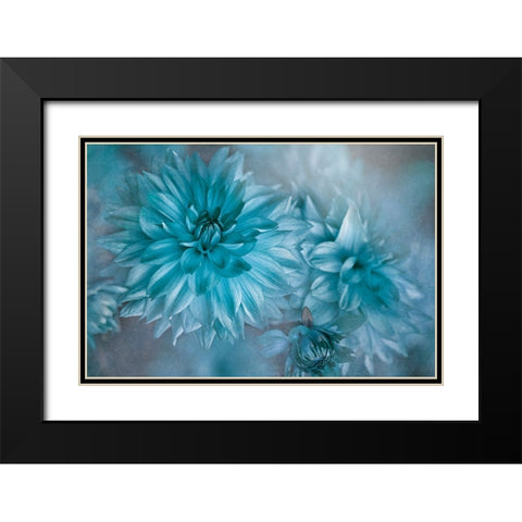 Twilight Black Modern Wood Framed Art Print with Double Matting by Parker, Jacky