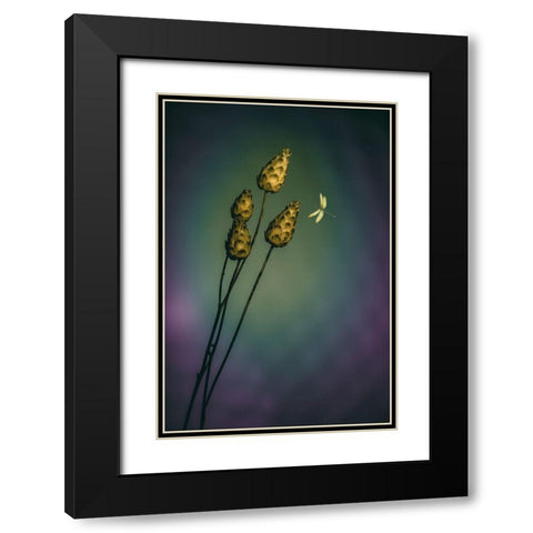 A Midsummer Fantasy Black Modern Wood Framed Art Print with Double Matting by Kiral, Cicek