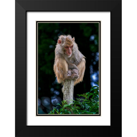 Lost In An Overcrowded World Black Modern Wood Framed Art Print with Double Matting by Sachdeva, Samir