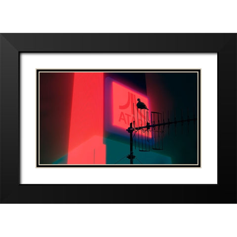 Big brother is watching you Black Modern Wood Framed Art Print with Double Matting by Boaretto, Davide