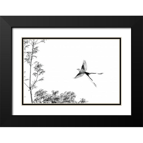 Flying Black Modern Wood Framed Art Print with Double Matting by He, Mike