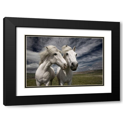 Inseparables Black Modern Wood Framed Art Print with Double Matting by Ingibergsson, Bragi