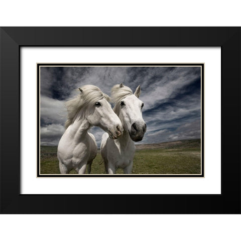 Inseparables Black Modern Wood Framed Art Print with Double Matting by Ingibergsson, Bragi