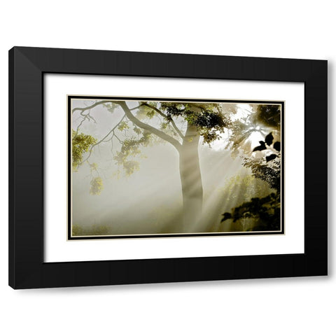 Fog at MAcns Klint Black Modern Wood Framed Art Print with Double Matting by Wicklow, Jorgen