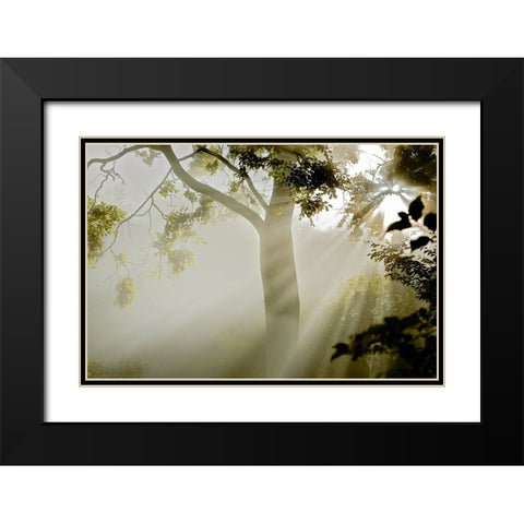 Fog at MAcns Klint Black Modern Wood Framed Art Print with Double Matting by Wicklow, Jorgen