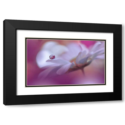 Celebration Of Life..III Black Modern Wood Framed Art Print with Double Matting by Nan, Juliana