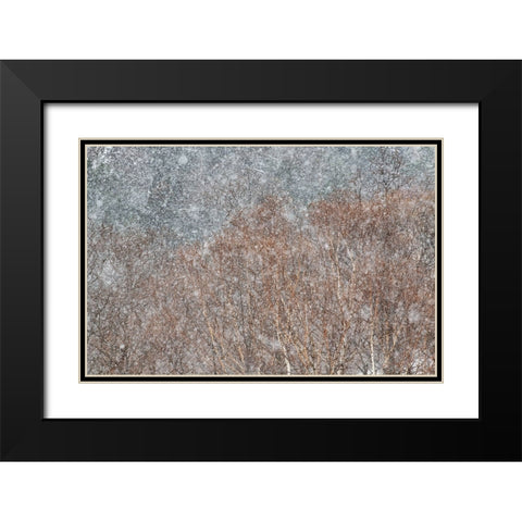 snowstorm Black Modern Wood Framed Art Print with Double Matting by Swapnil