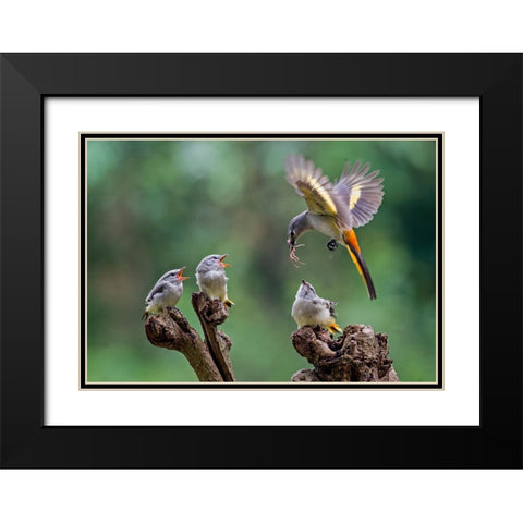 I Am Coming 2 Black Modern Wood Framed Art Print with Double Matting by Muliani Hartojo, Angela