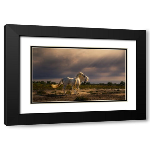 After The Storm...Light! A732210 Black Modern Wood Framed Art Print with Double Matting by Joanaduenas