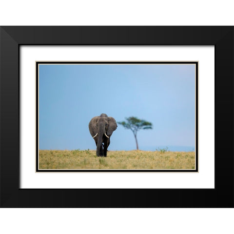 All Good Things Are Wild And Free ... Black Modern Wood Framed Art Print with Double Matting by Roshkumar