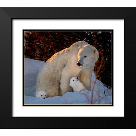 Untitled Black Modern Wood Framed Art Print with Double Matting by Tao, Liwen