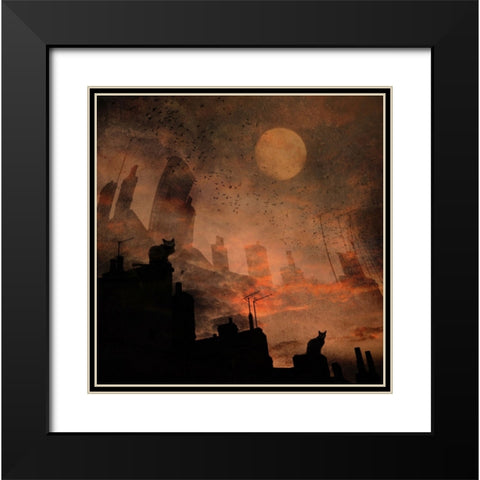 Day X... Cats... Black Modern Wood Framed Art Print with Double Matting by Fabrowski, Robert