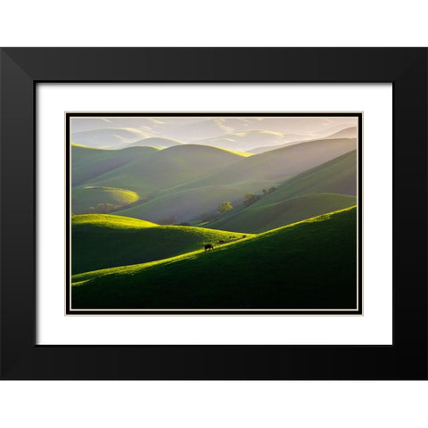 Afternoon Light On Hills Black Modern Wood Framed Art Print with Double Matting by Mao, Dianne