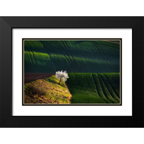 A Flowering Tree In The Waves Black Modern Wood Framed Art Print with Double Matting by Uhrin, Milan