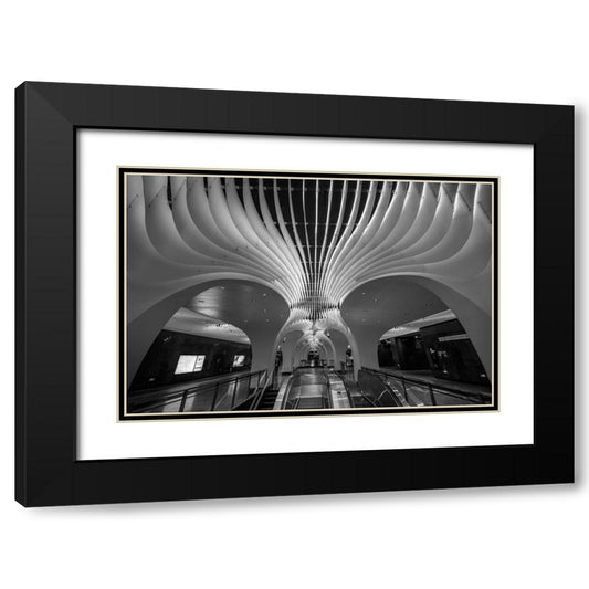 Perspective Image