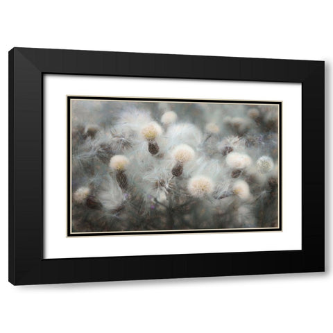 Free Fall Black Modern Wood Framed Art Print with Double Matting by Claes, Gilbert